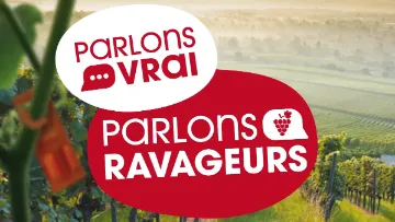 ravageur